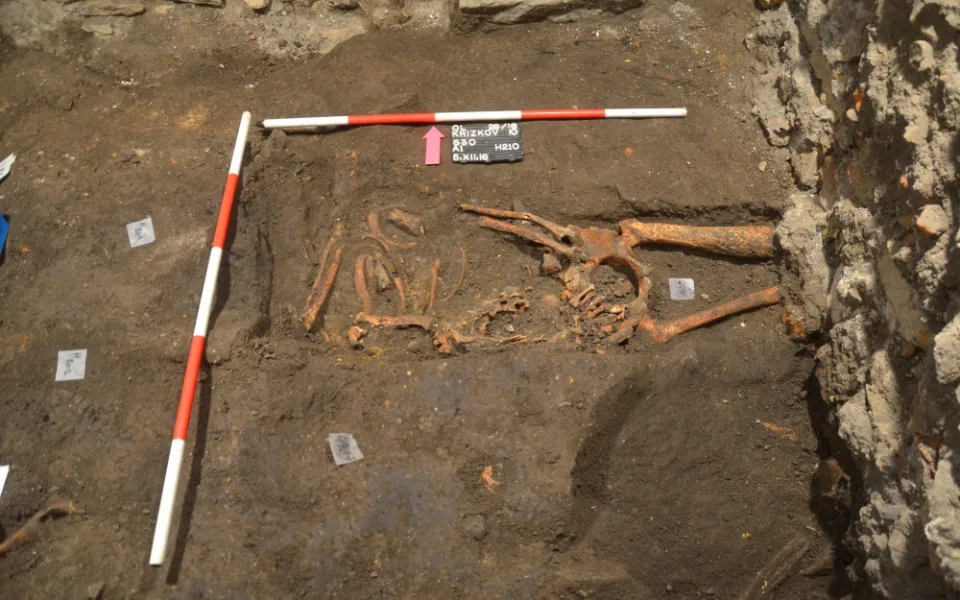 Stopy po syfilisu našli archeologové v hrobě na nádvoří fakulty. Nakažený žil s infekcí v těle pravděpodobně až 20 let