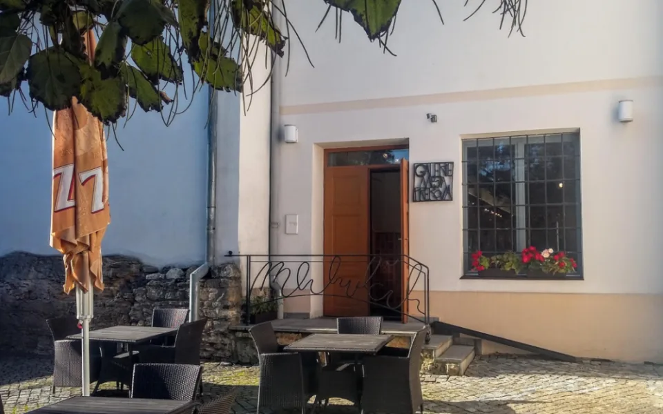 Průřez tvorbou malířky Hlobilové vystaví přerovská galerie