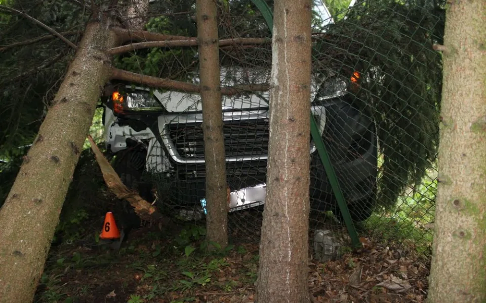 Devatenáctiletý řidič dodávky usnul během jízdy. Auto narazilo do plotu a stromů