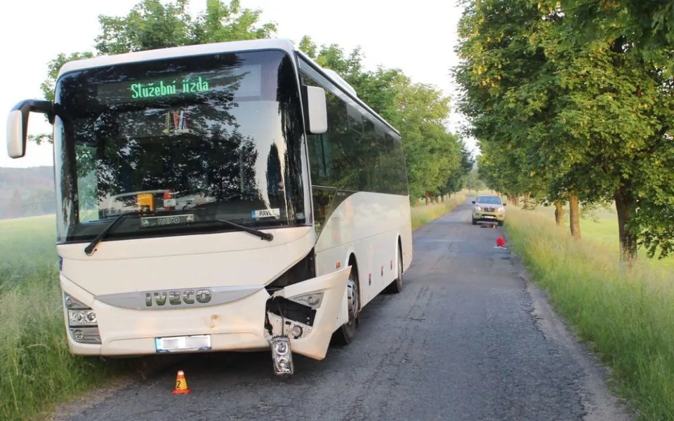 Divoké prase vběhlo do cesty autobusu. Řidičce se nepodařilo srážce zabránit a zvíře uhynulo