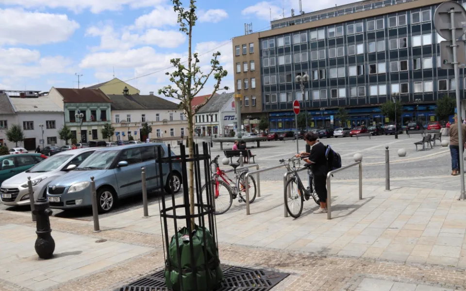 Padesát dřevin bude v Přerově zavlažováno vaky. Pomohou jim přežít během horka a sucha