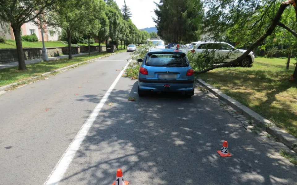 Policie žádá o pomoc svědky dopravní nehody, při které větev poškodila kapotu auta