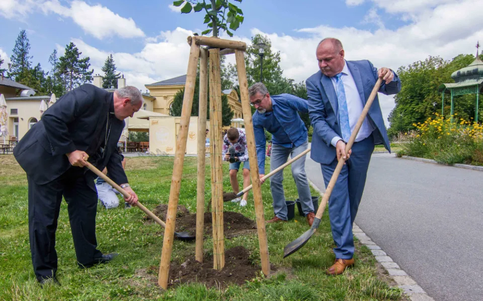 Lípu, která připomíná Rudolfa Jana, zasadil hejtman Okleštěk s primátorem Žbánkem