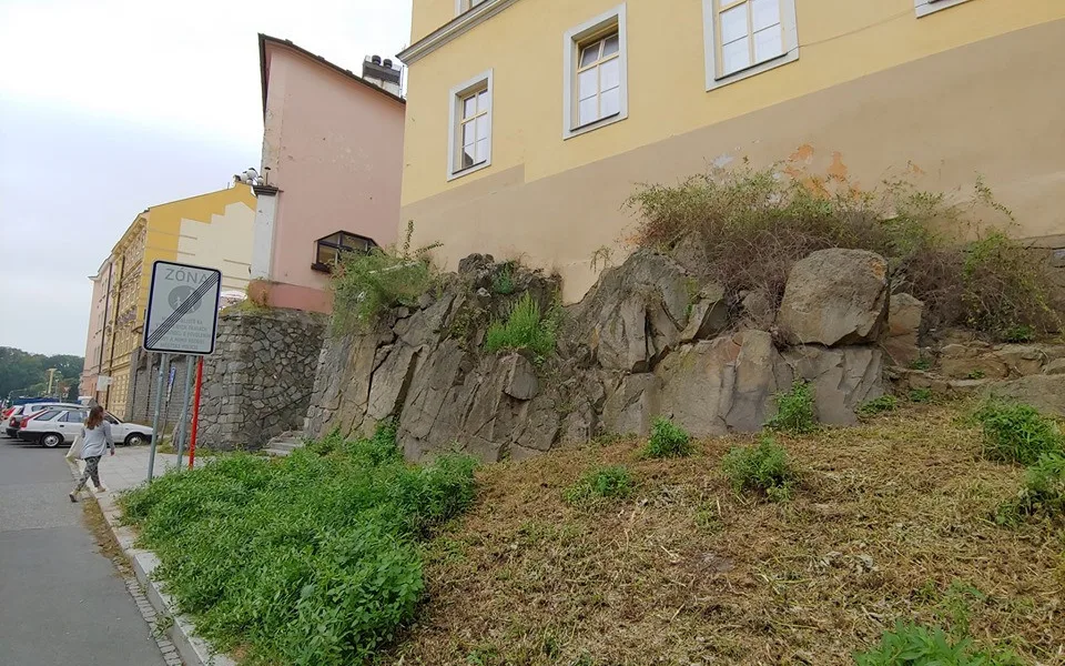 Aktivisté ze Zachraňme Floru Olomouc ozdobí skálu u Michalských schodů skalničkami. Bude jich až dvě stě