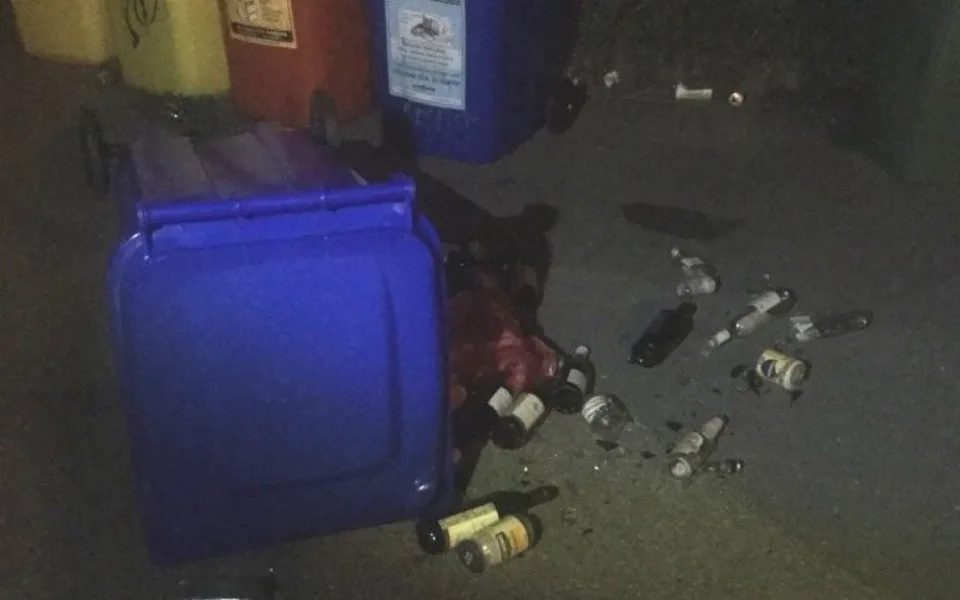 Vandalové řádili v Neředíně. Poškodili lampu a vysypali popelnici