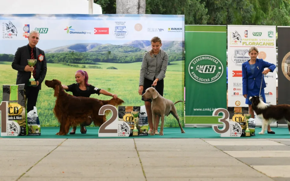BLESKOVÁ SOUTĚŽ: Vyhrajte vstupenky na národní výstavu psů Floracanis