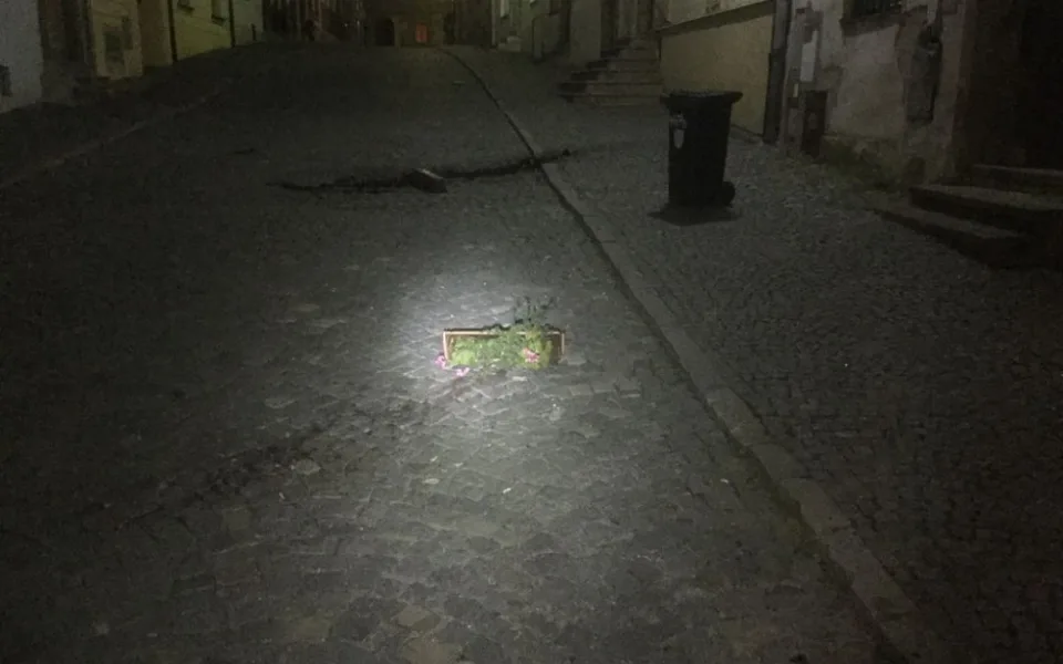 Muži nad ránem v centru města tropili výtržnosti. Skákali po autech a rozházeli květináče