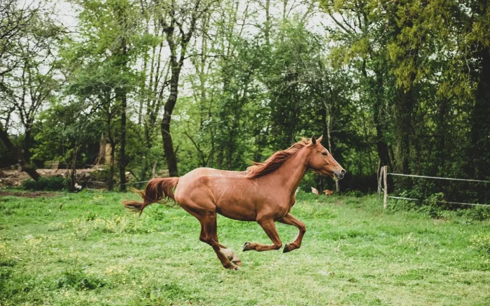 ilustrační foto
