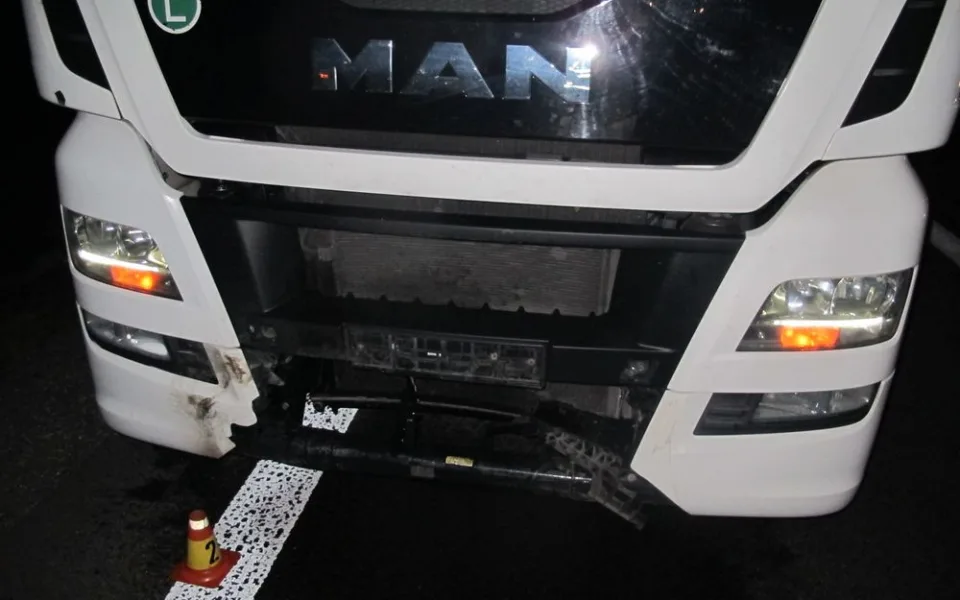 Divoké prase vběhlo nad ránem do cesty řidiči kamionu. Po srážce uhynulo