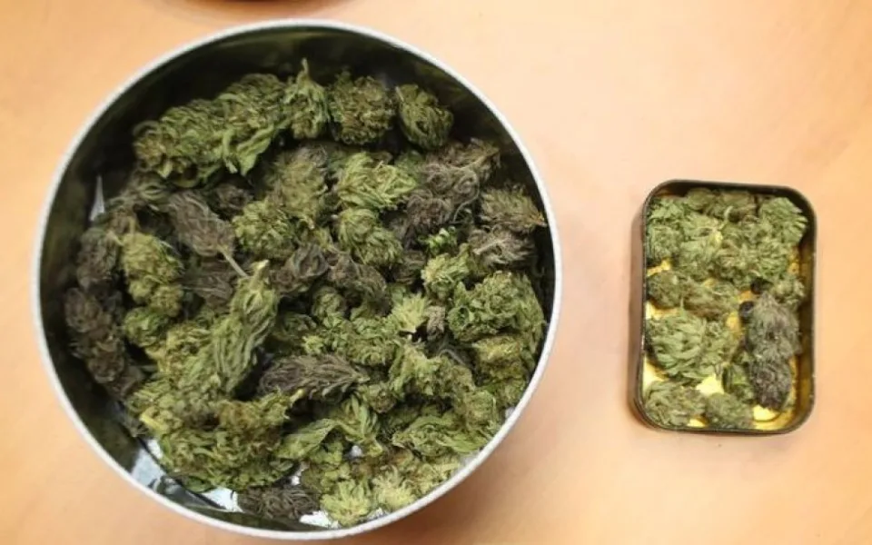 FOTO: Marihuana, hašiš i pervitin. Olomoučtí kriminalisté odhalili za víkend tři dealery drog