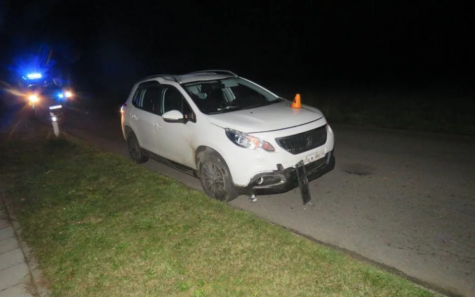 Řidiči vběhlo do cesty divoké prase, po srážce uhynulo