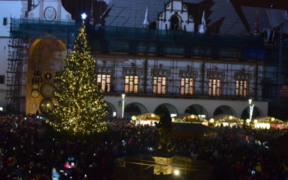 Střelka 2017, 12m