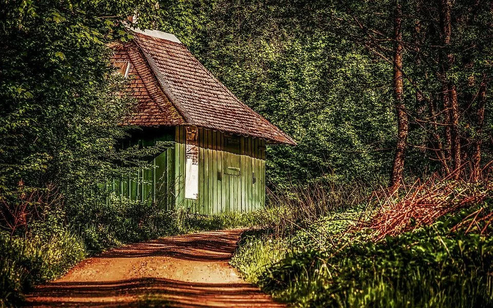 ilustrační foto