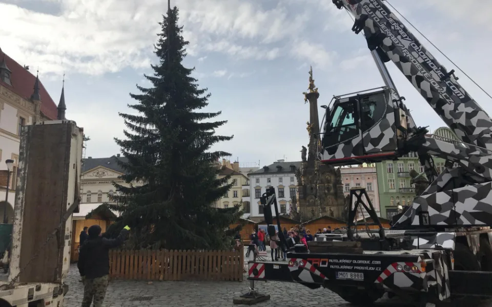 AKTUÁLNĚ: Olomoucký vánoční strom je na svém místě. Je menší než v minulých letech