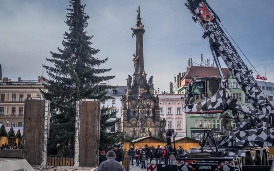 FOTO: Olomouckým vánočním stromem je jedenáctimetrový smrk. Podívejte se