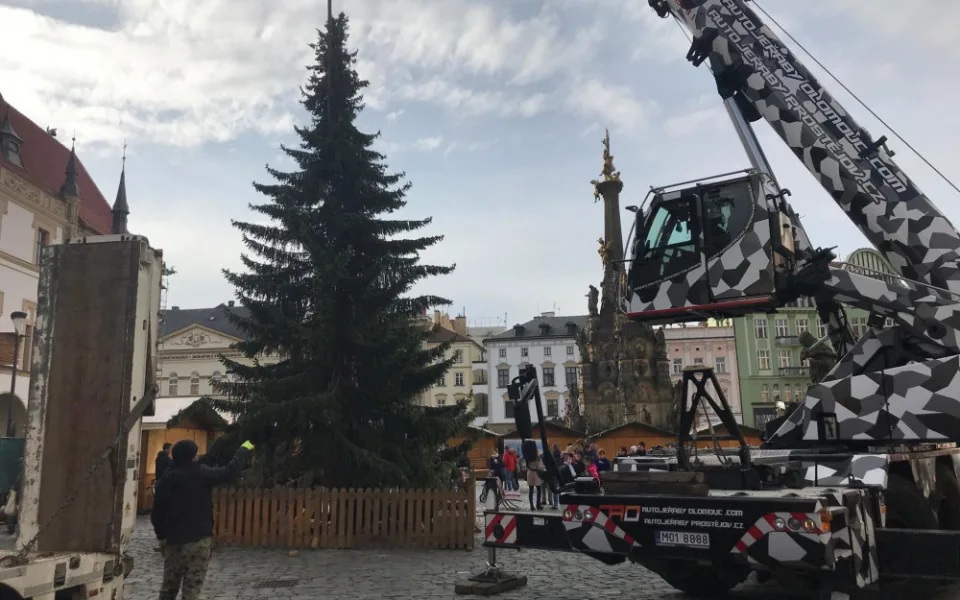 PŘEHLED: Města v našem kraji rozsvěcují vánoční stromy, podívejte se kdy