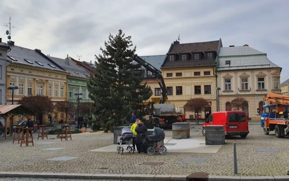 FOTO: Ve Šternberku už stojí vánoční strom. Je z Bohuňovic a rozsvěcovat se bude v neděli