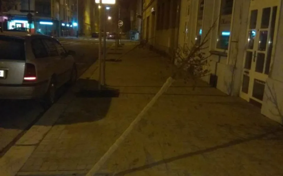 Dva muži poničili vysázené stromky. Před strážníky pak utekli