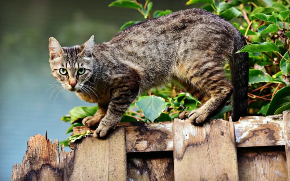 size3-15479061652926-124-cat-3846780-1280