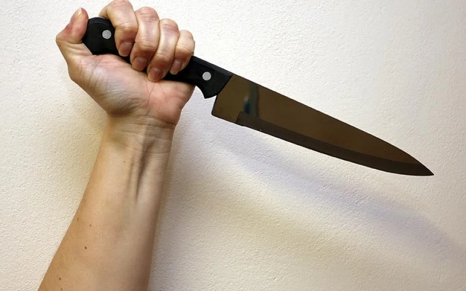 Muž se na Silvestra pokusil zavraždit svou matku