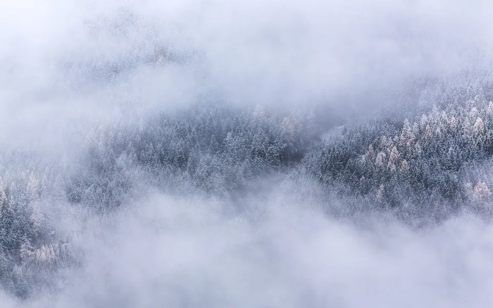ilustrační fotografie