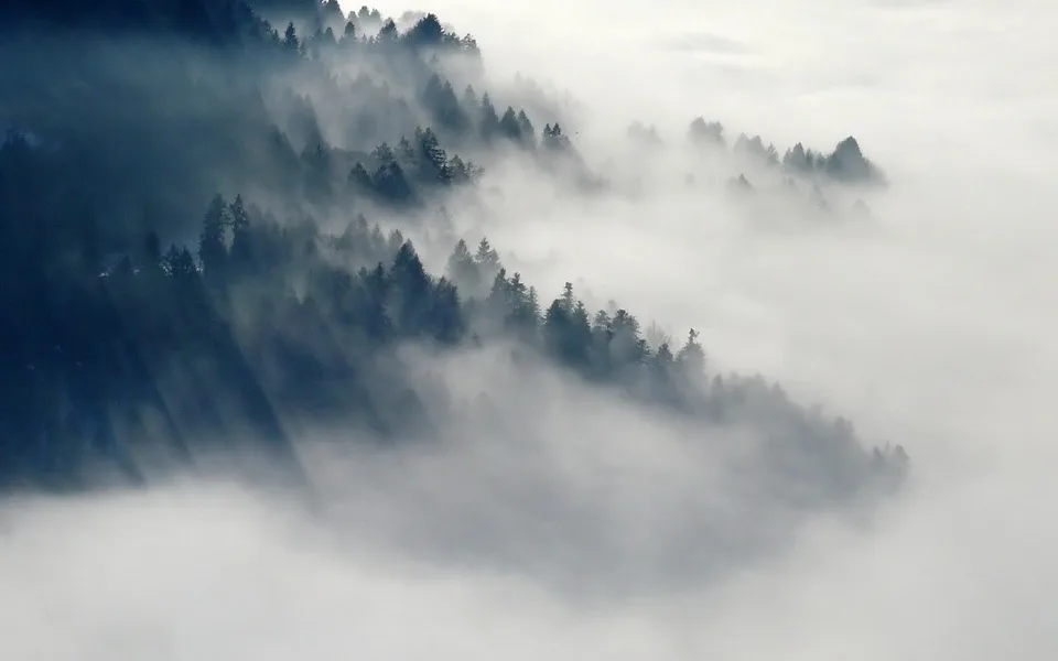 ilustrační foto