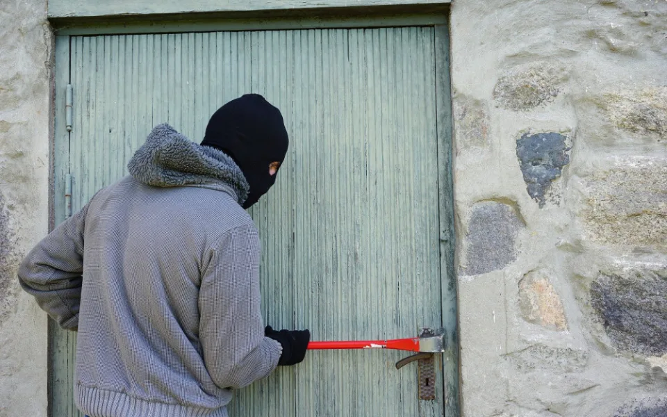 thief-1562699_1920