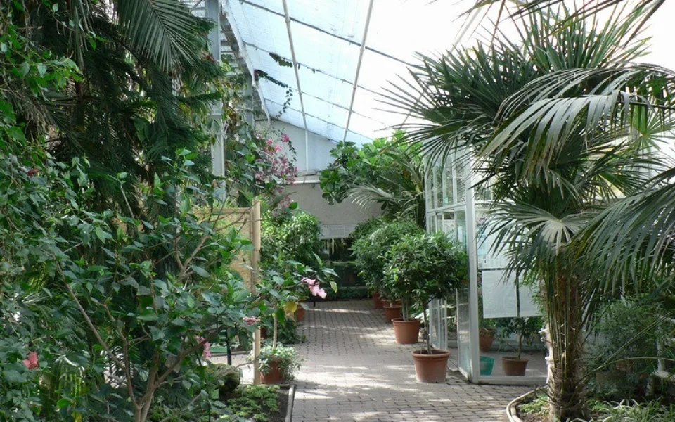 Sbírkové skleníky Flora Olomouc