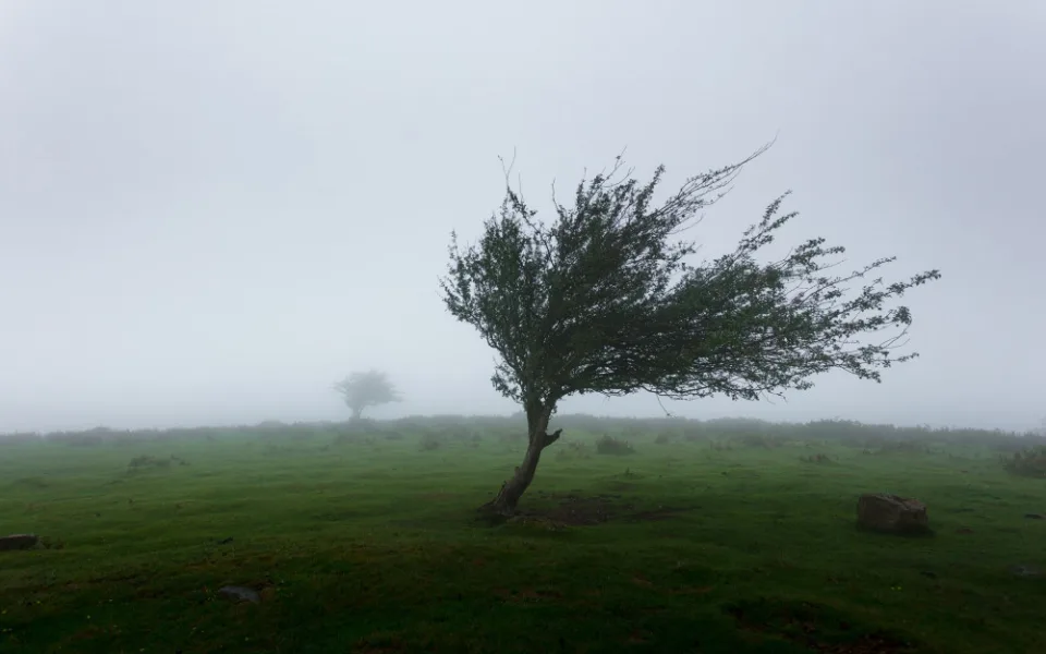 size4-15822859265929-124-mahkeo-wtwssqwyla0-unsplash