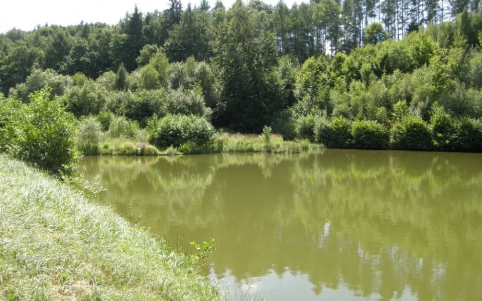 Povodí Moravy dokončuje obnovu vodní nádrže Hrabišín