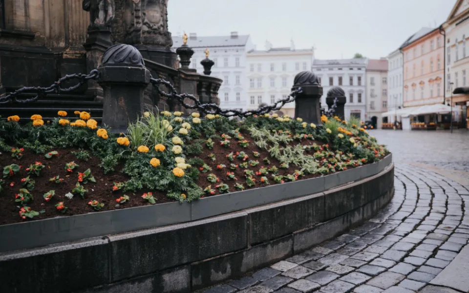 FOTO: Na olomouckém Horním náměstí vykvetl Sloup Nejsvětější Trojice. Jak se vám líbí?