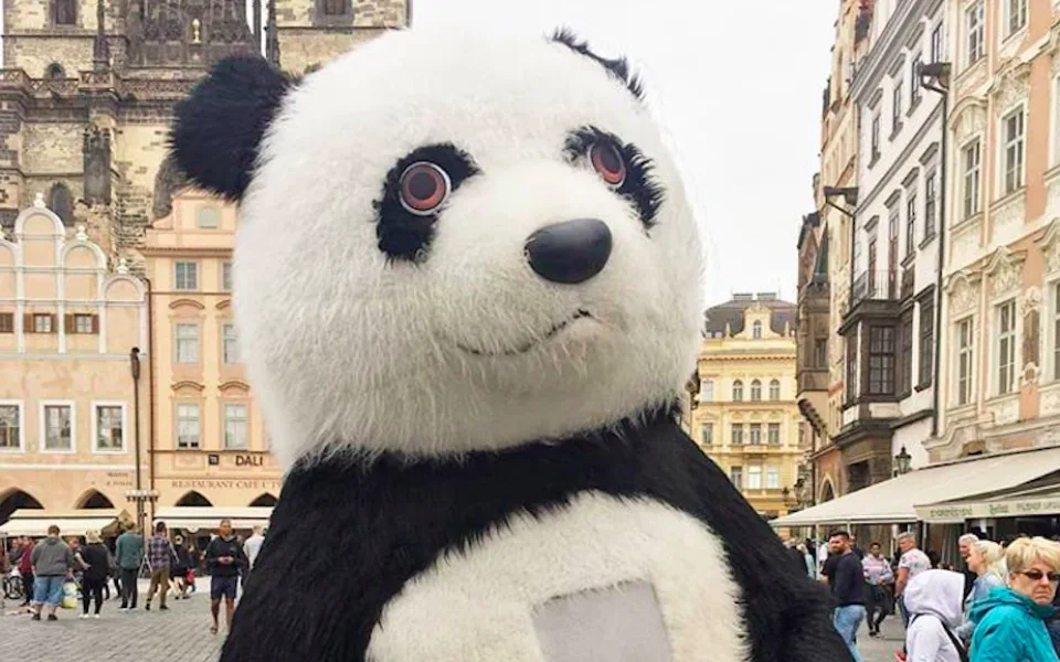 Olomouc po Praze bojuje proti obřím pandám. Změnou tržního řádu je zakáže u zoo