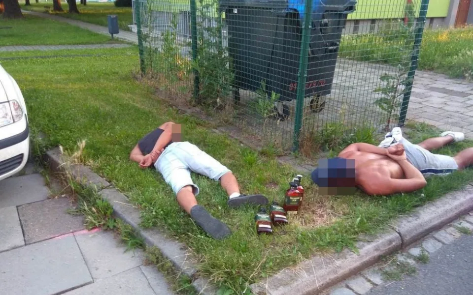 Dva zloději kradli v obchodě přesně ve chvíli, kdy u pokladny stála dvojice strážníků. Daleko neutekli