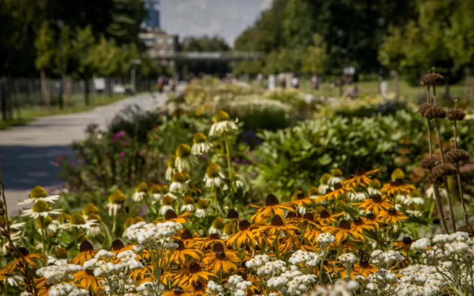 Flora Olomouc