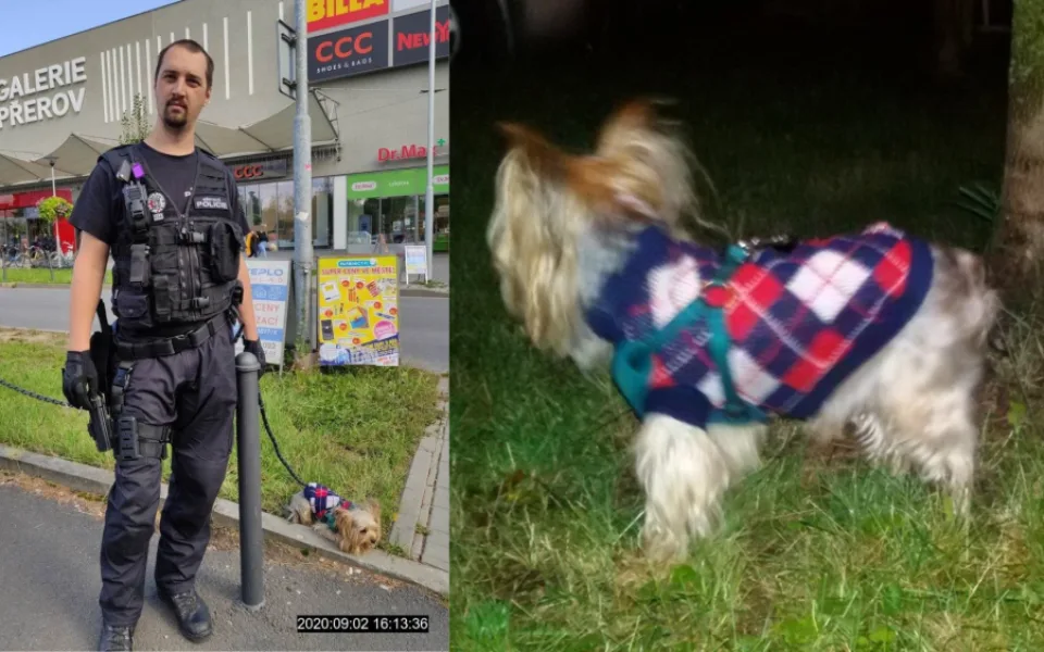 Jorkšír ve svetru zaměstnal hned tři hlídky. Strážnici ho odchytili až po 17 hodinách