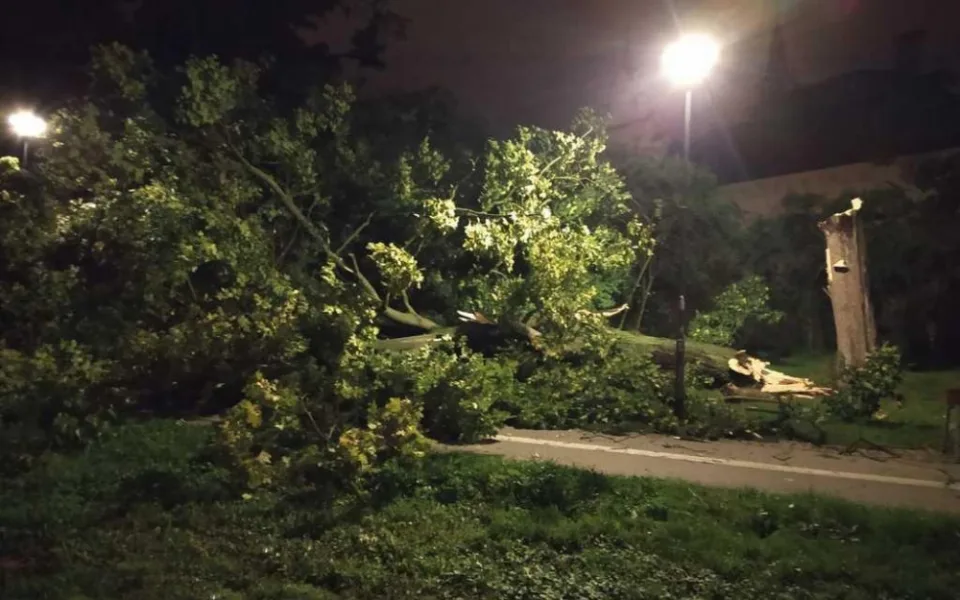 Spadlý strom bránil cyklistům v průjezdu parkem. O úklid se postarali hasiči