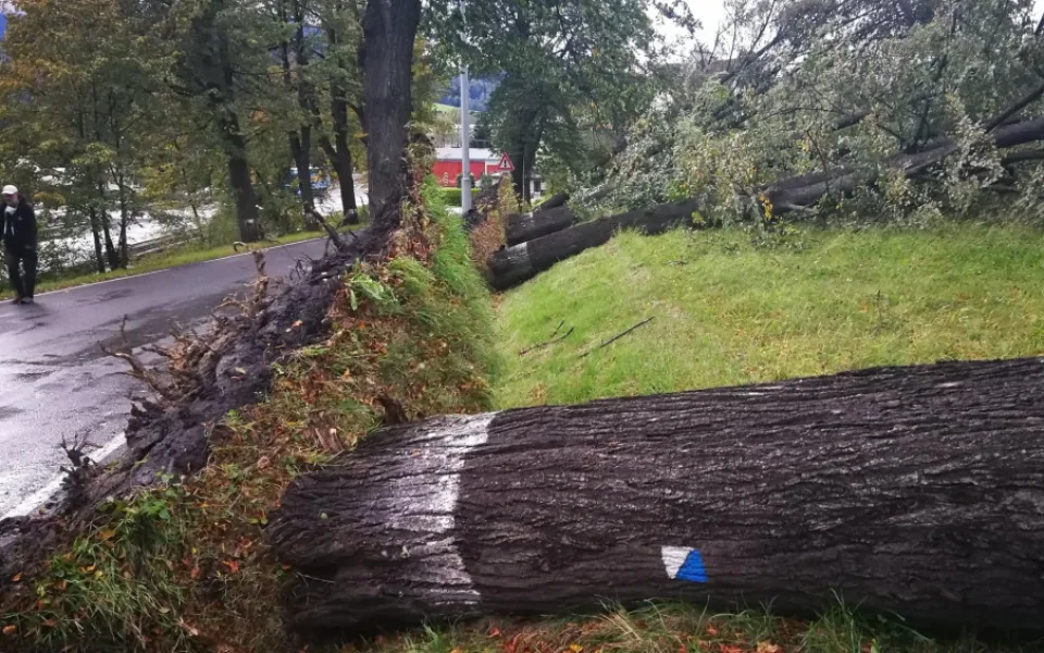 FOTO: Více než 220 výjezdů hasičů v kraji. Silný vítr o víkendu nejčastěji vyvracel stromy