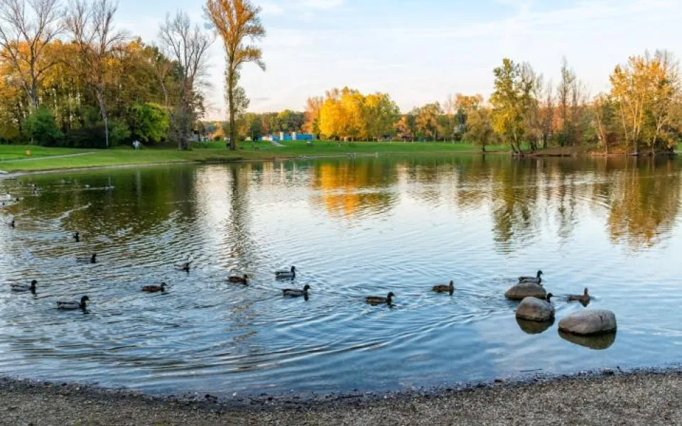Laguna v Přerově.
