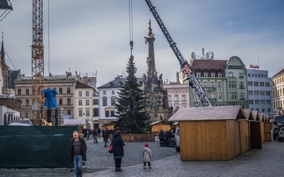 Olomouc už má vybraný vánoční strom. Podívejte se, jak bude vypadat