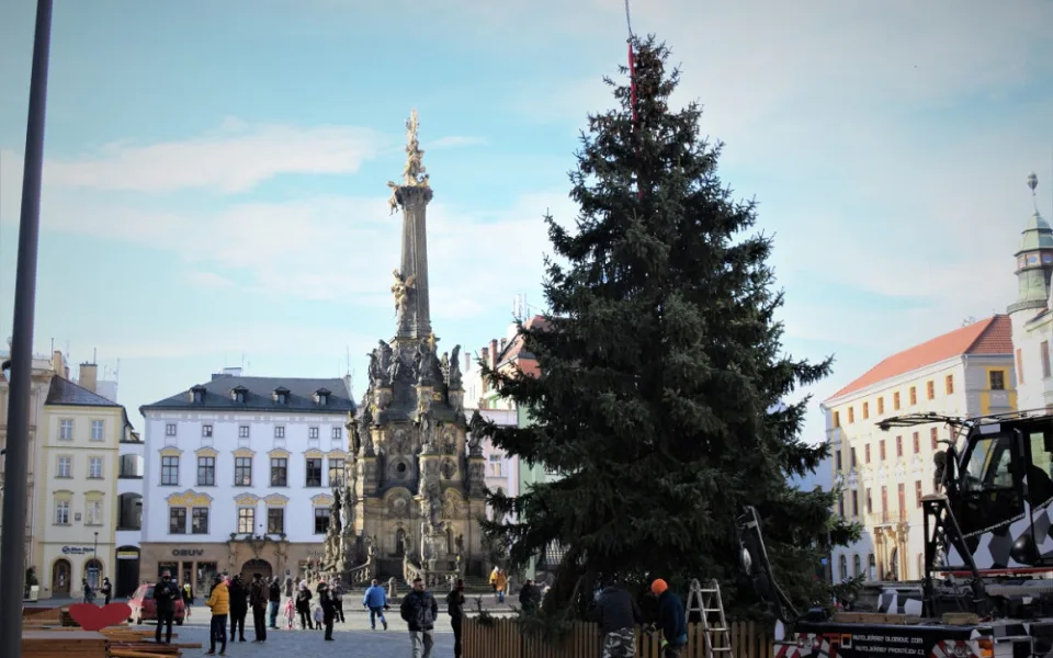FOTO/VIDEO: Na olomouckém Horním náměstí již stojí vánoční stromeček. Jak se vám líbí?