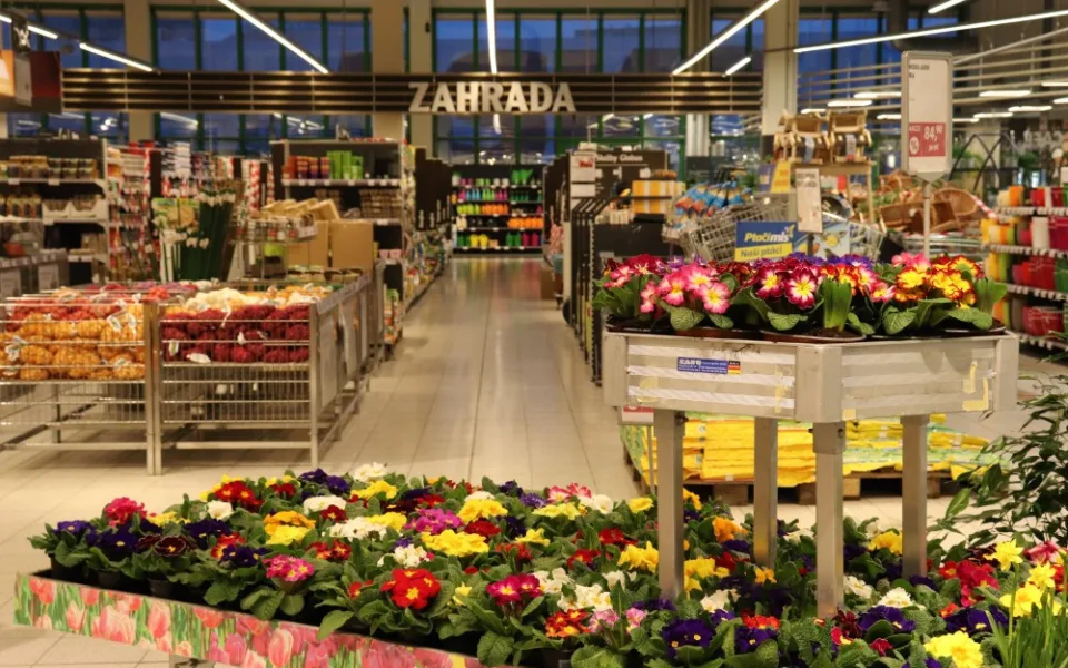 Přivítejte ve vaší zahrádce jaro s hypermarketem Globus