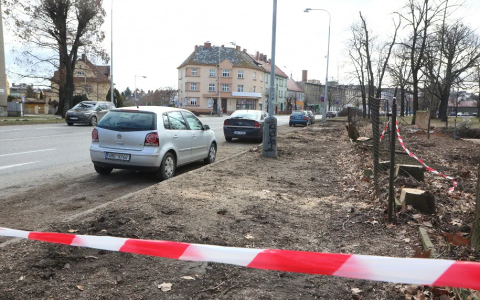 Olomoucká radnice připravuje revitalizaci parku. Začala kácet náletové dřeviny
