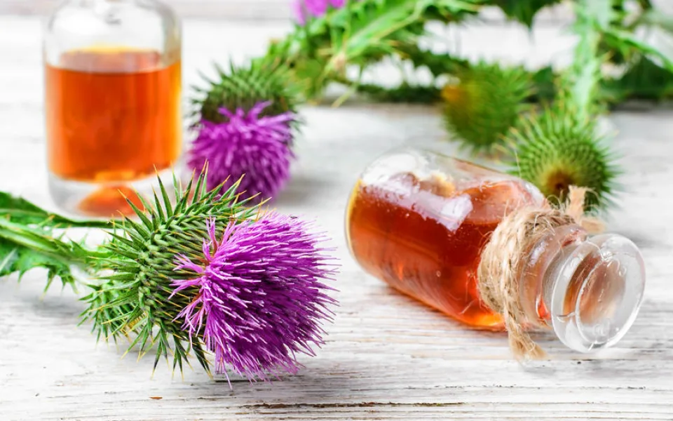 Jarní detox-Drbna-CZ