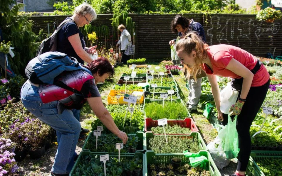 Olomoucké Výstaviště Flora začne pořádat selské a zahradnické trhy