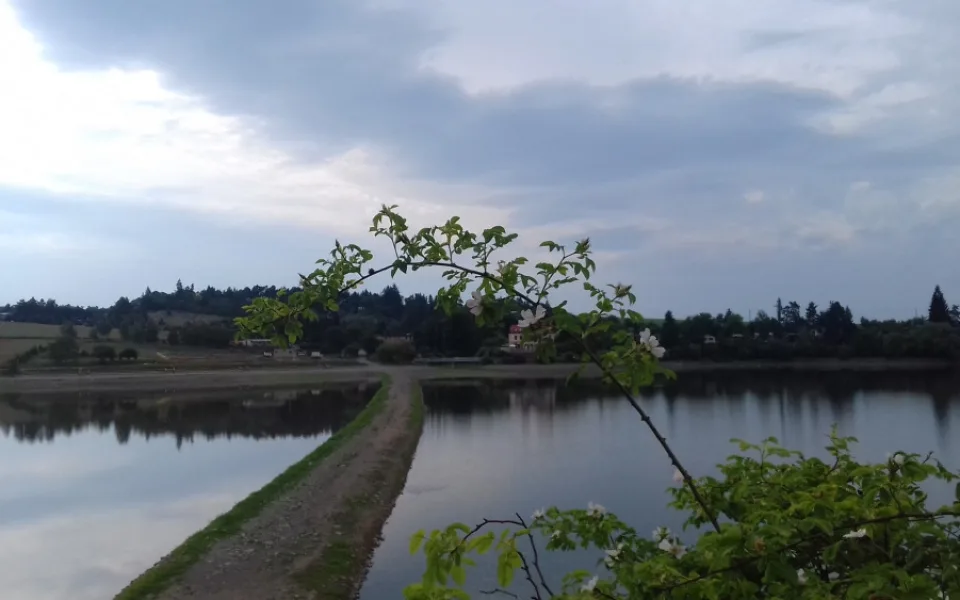 Sezona na Plumlovské přehradě letos nezačíná dobře. Je zde málo vody
