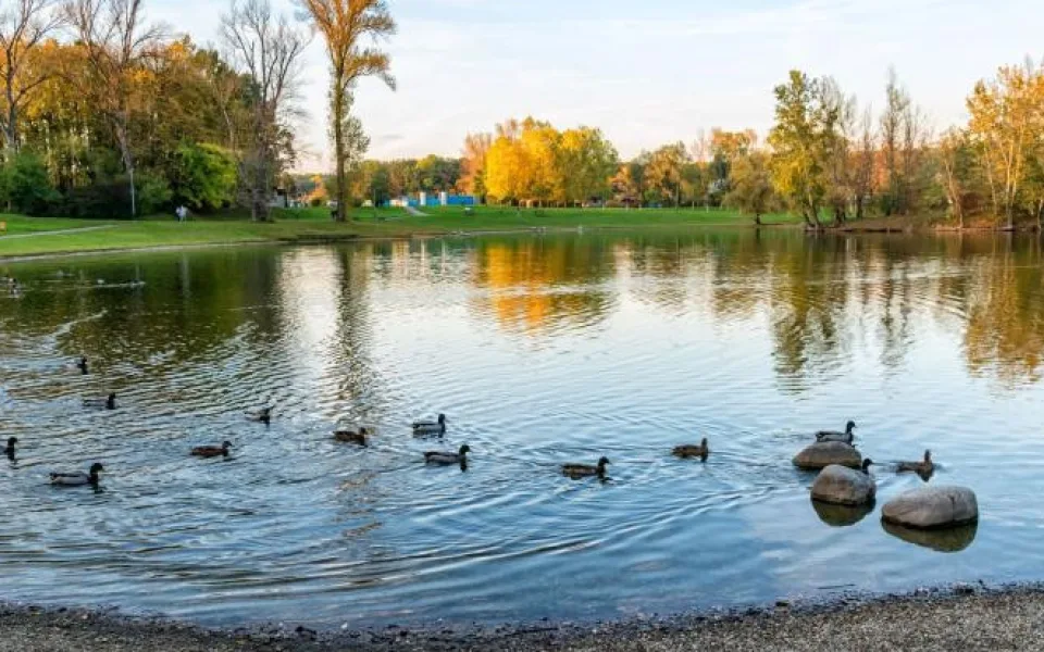 Voda v přerovské Laguně není vhodná ke koupání, potvrdily to rozbory