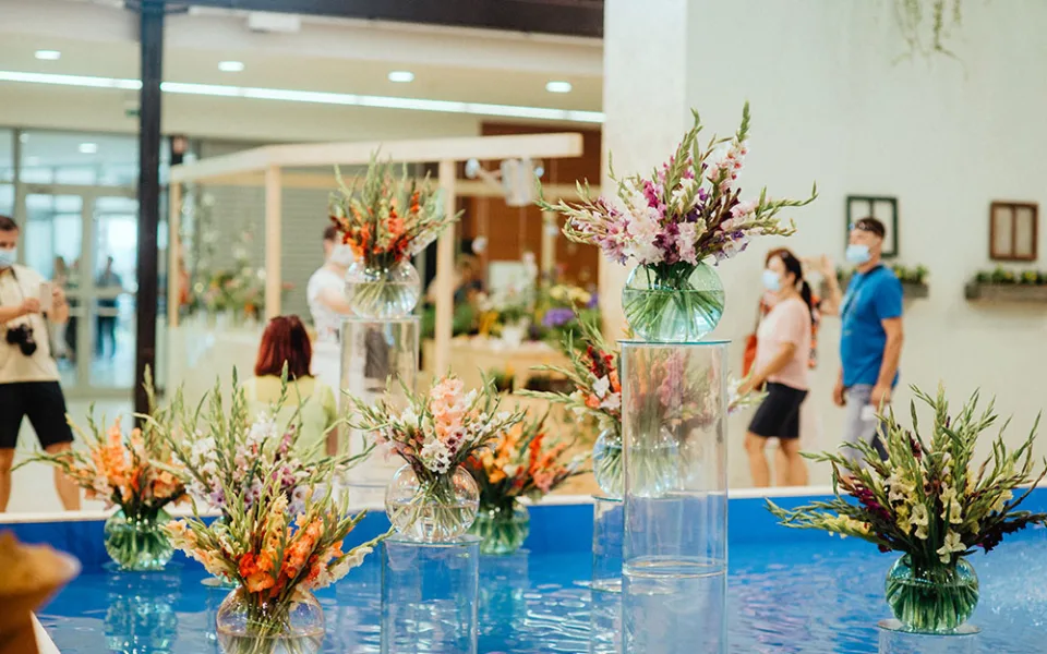 Zahradní architekti a architektky na výstavách Flora Olomouc představují expozice, které mají zaujmout