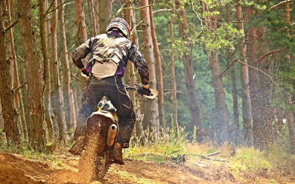 Motorkáři nedovolenou jízdou v lesích poškozují porosty a mohou ohrozit zvířata či další návštěvníky lesa - ilustrační foto