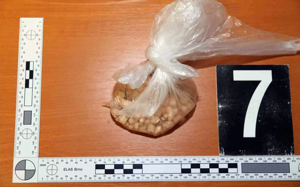 Tři druhy omamných a psychotropních látek vezl v zavazadle mladík ve vlaku mezi Hranicemi a Olomoucí