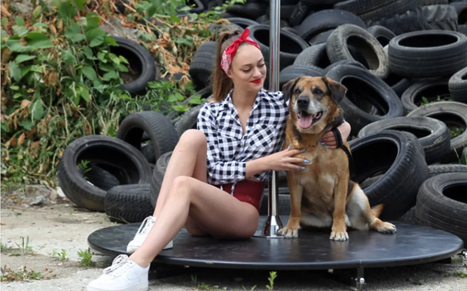 Plakáty pro letošní ročník charitativního projektu Pole Dogs vznikaly během jediného víkendu